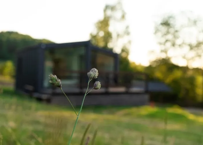 With Sauna Dobeskid Krzyzowki